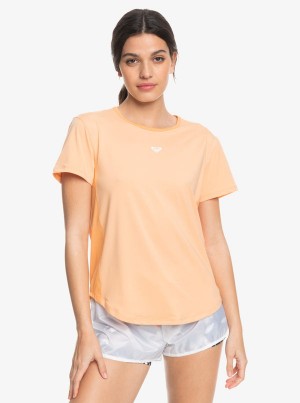 Camiseta Roxy Pure Pursuit Mesh Tee Knit | 435ADILUC