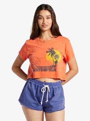 Camiseta Roxy Retro Surf Team Sin Manga Muscle | 389DHCITW