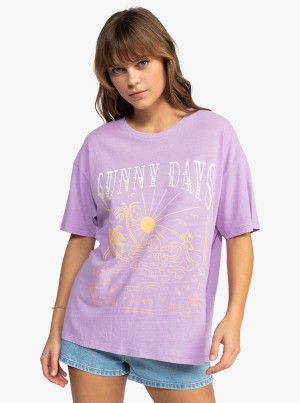 Camiseta Roxy Sunny Days Oversized | 720DFVQWI