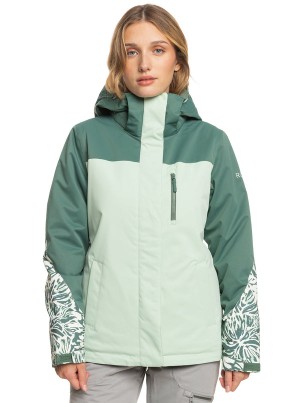 Chaquetas Snowboard Roxy Jetty Block Technical | 204EDNCYO