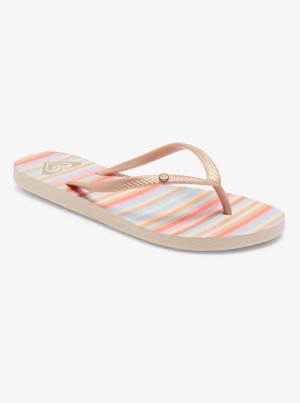 Sandalias Roxy Bermuda | 065RVKCZX