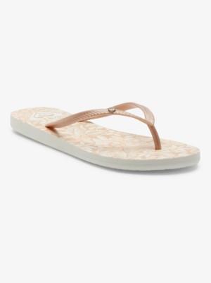 Sandalias Roxy Bermuda | 165GWPVQI