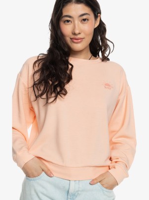 Sudadera con Capucha Roxy Surfing By Moonlight B Crew Neck | 830VPWMLX