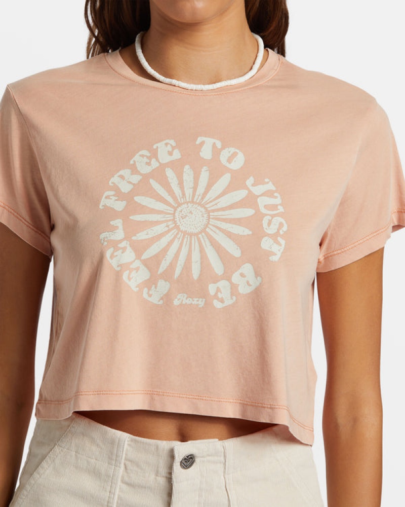 Camiseta Roxy Feel Free Cropped | 734ZKSQXD