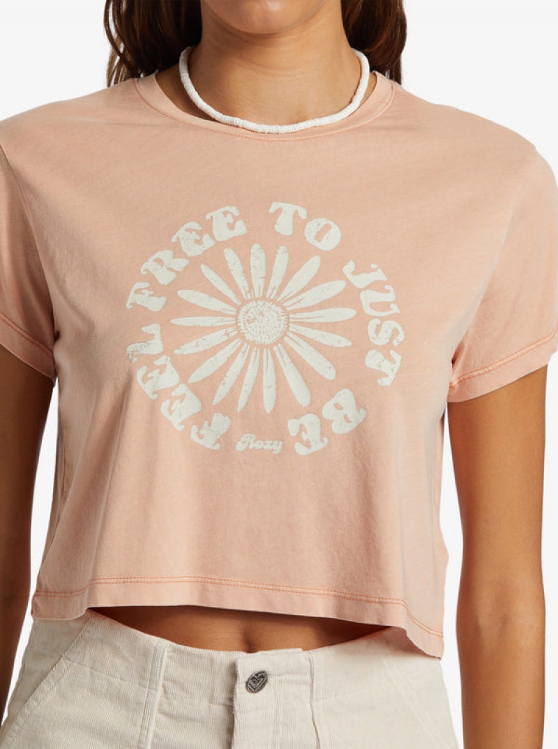 Camiseta Roxy Feel Free Cropped | 734ZKSQXD