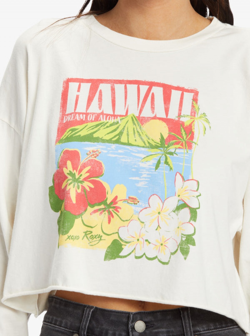 Camiseta Roxy Hawaiian Vacay Olsc | 530JIGCLQ