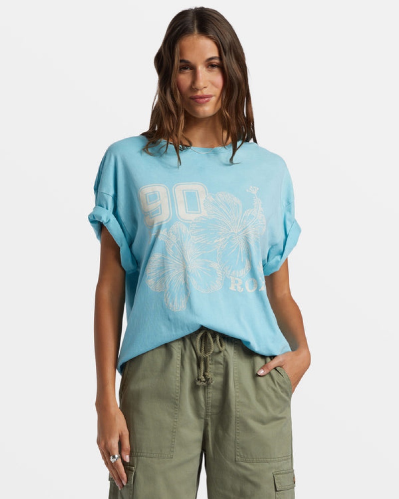 Camiseta Roxy Hibiscus Collegiate Oversized | 583UNPQVI