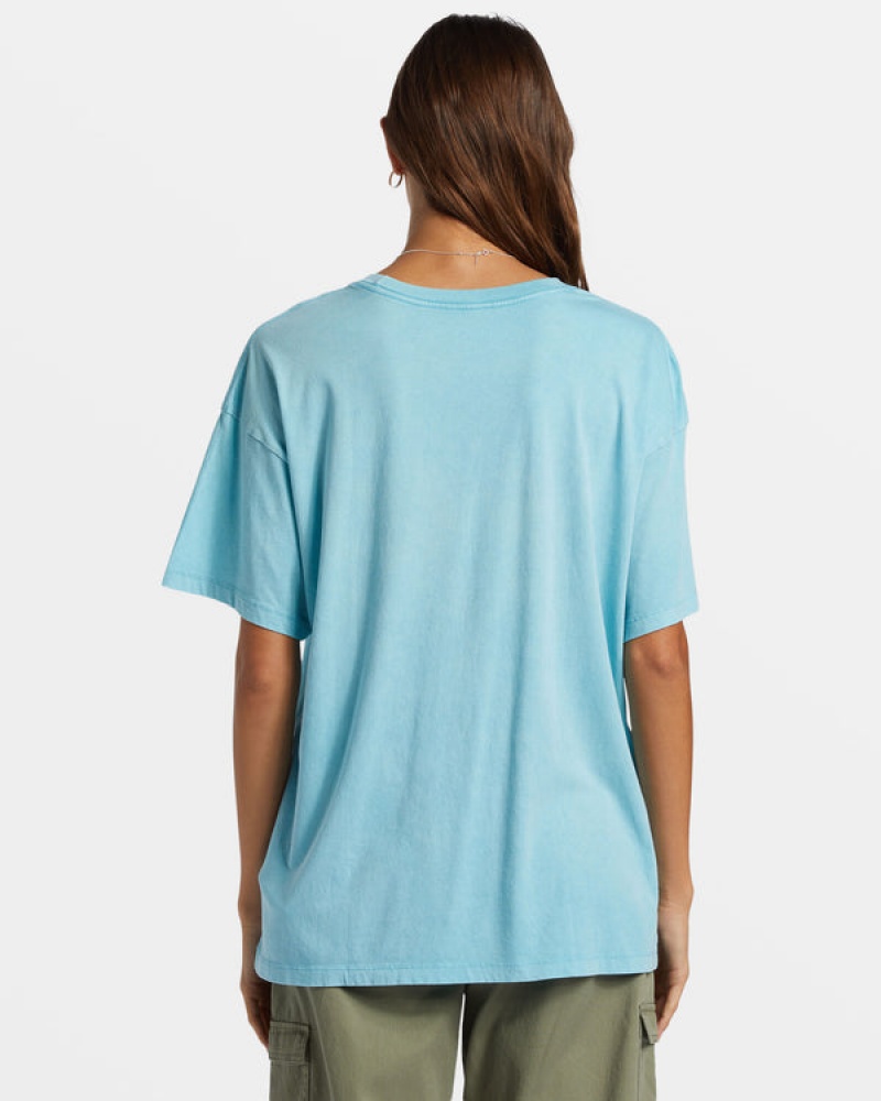 Camiseta Roxy Hibiscus Collegiate Oversized | 583UNPQVI