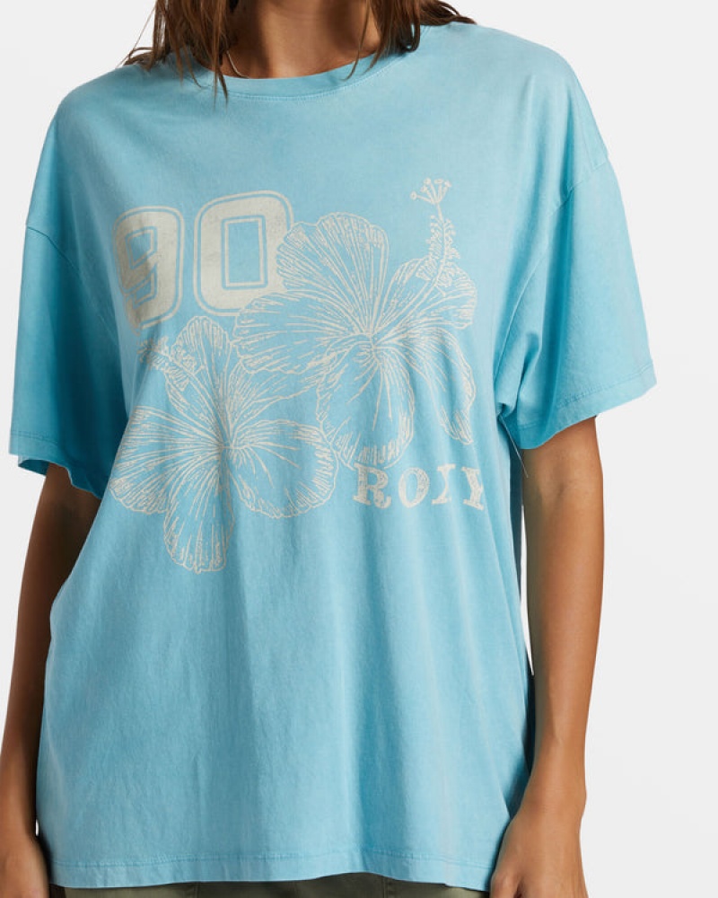 Camiseta Roxy Hibiscus Collegiate Oversized | 583UNPQVI