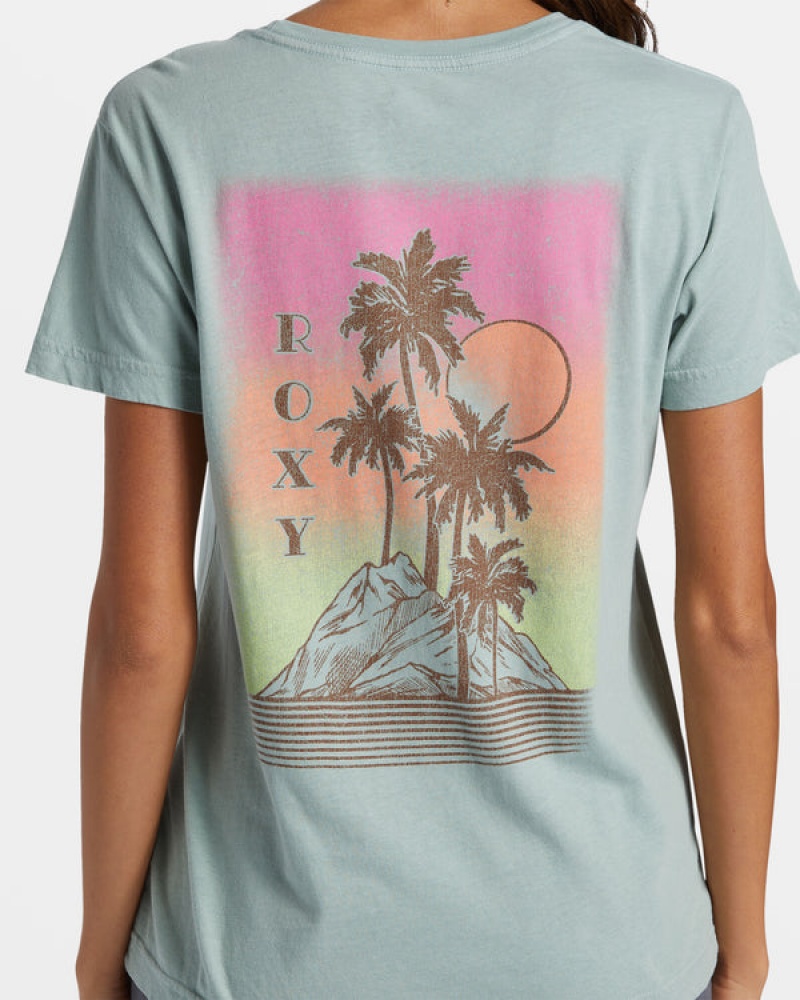 Camiseta Roxy Palm Springs Boyfriend | 523QBKYPC