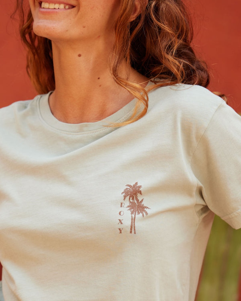 Camiseta Roxy Palm Springs Boyfriend | 523QBKYPC