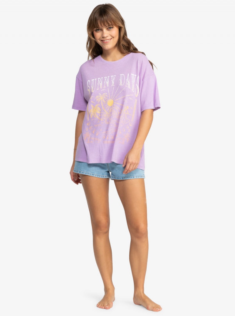 Camiseta Roxy Sunny Days Oversized | 720DFVQWI