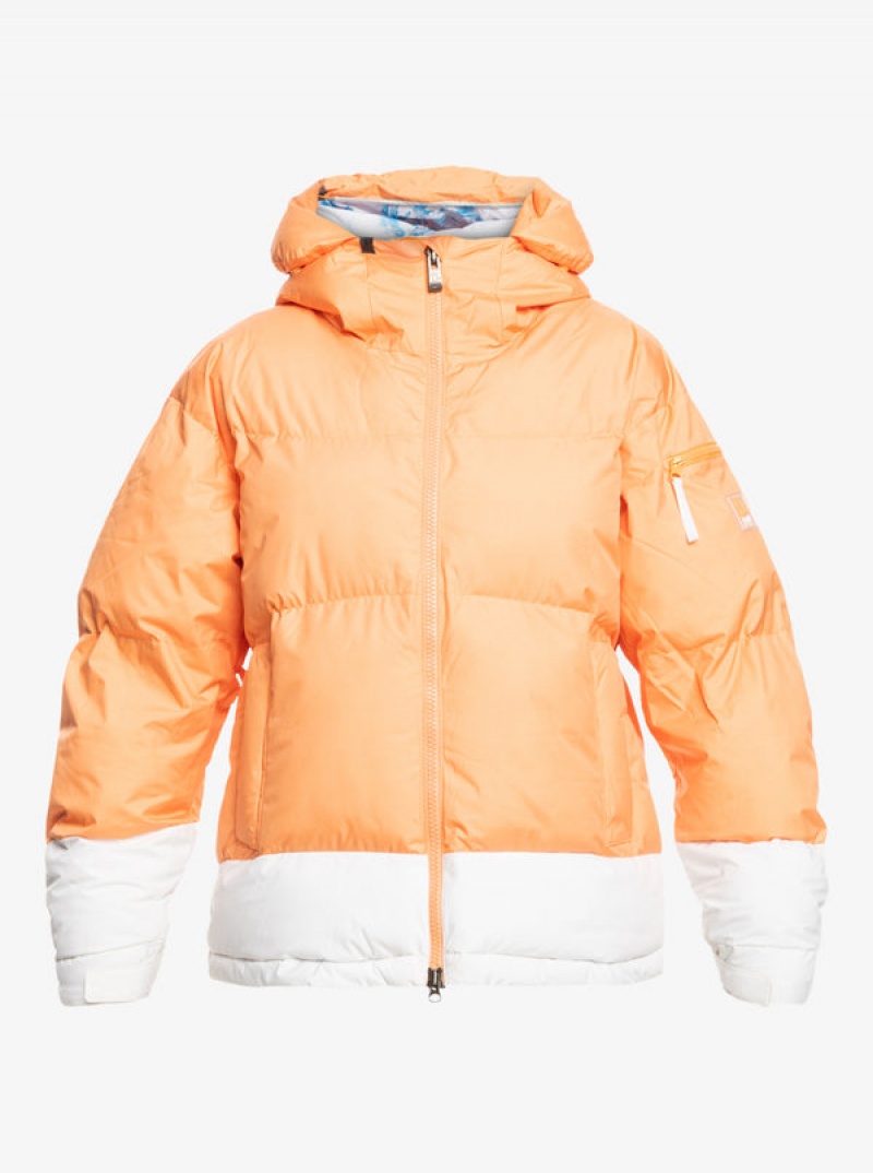 Chaquetas Snowboard Roxy Chloe Kim Puffy Technical | 657QRNTBE