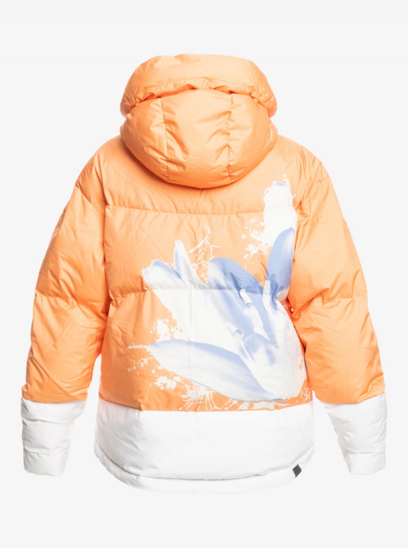 Chaquetas Snowboard Roxy Chloe Kim Puffy Technical | 657QRNTBE