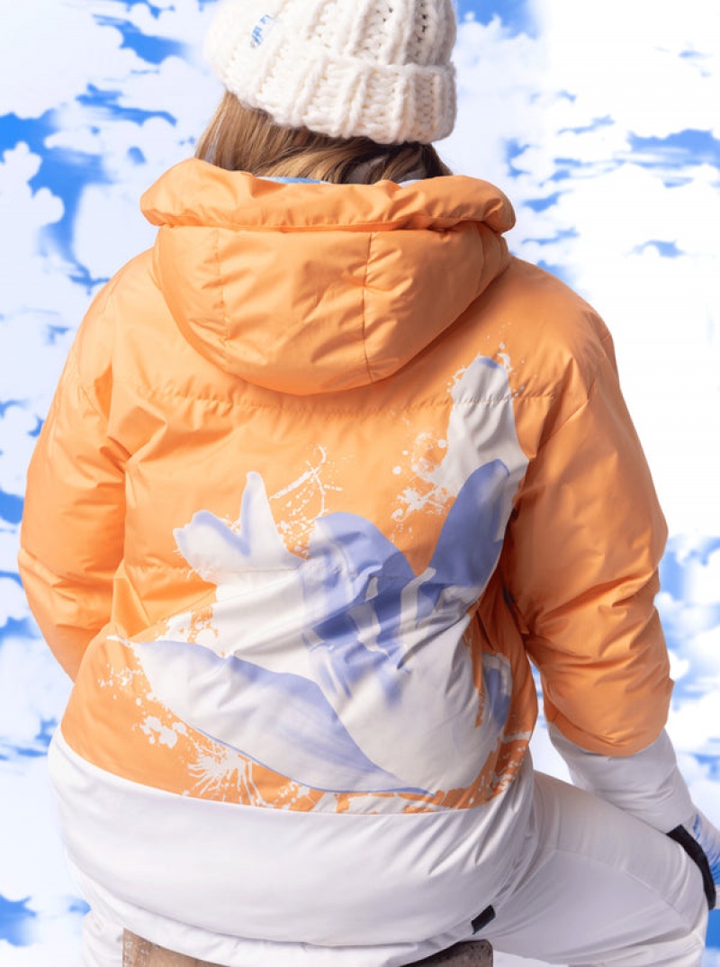 Chaquetas Snowboard Roxy Chloe Kim Puffy Technical | 657QRNTBE