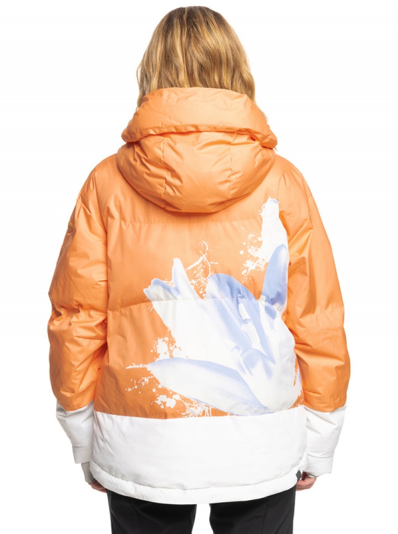 Chaquetas Snowboard Roxy Chloe Kim Puffy Technical | 657QRNTBE