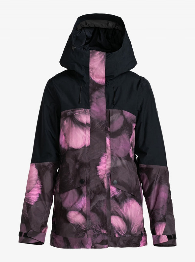 Chaquetas Snowboard Roxy GORE-TEX® Glade Technical | 879WBFJEH