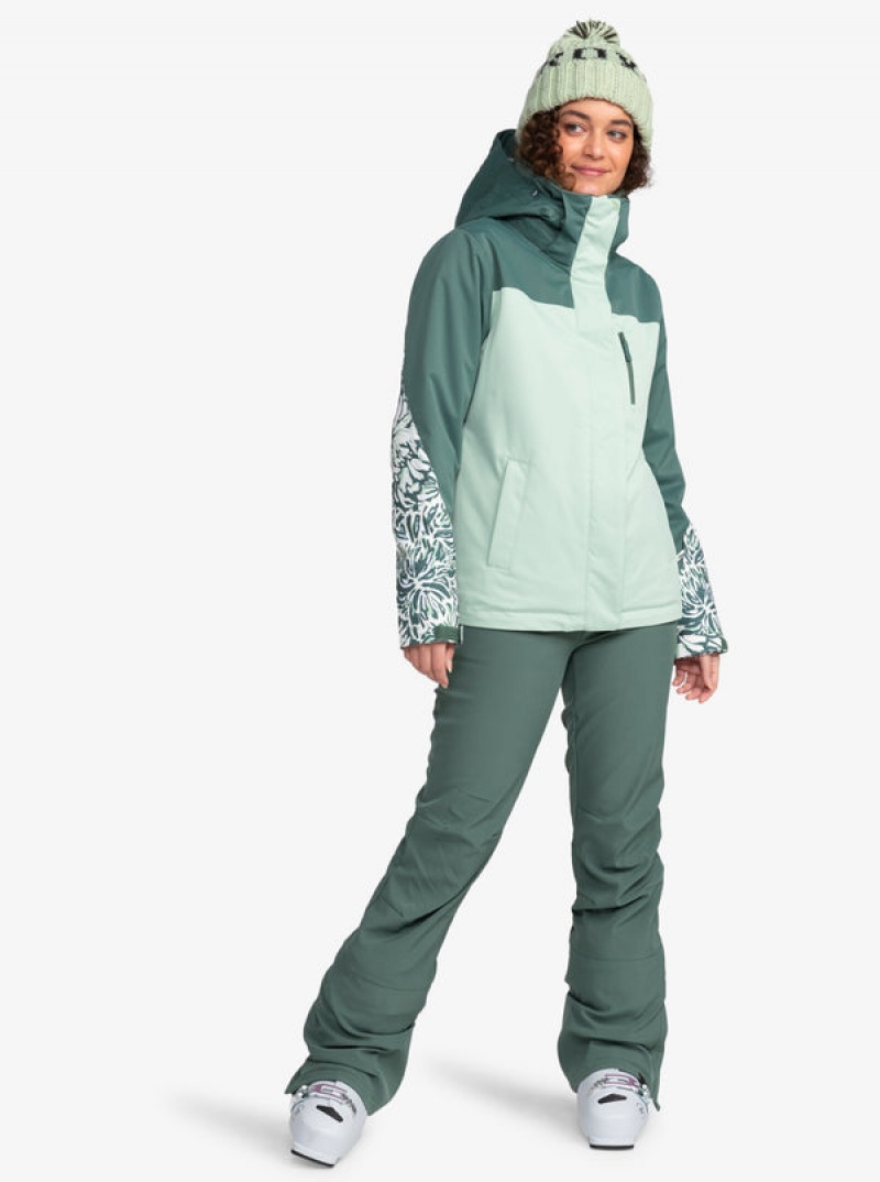 Chaquetas Snowboard Roxy Jetty Block Technical | 204EDNCYO