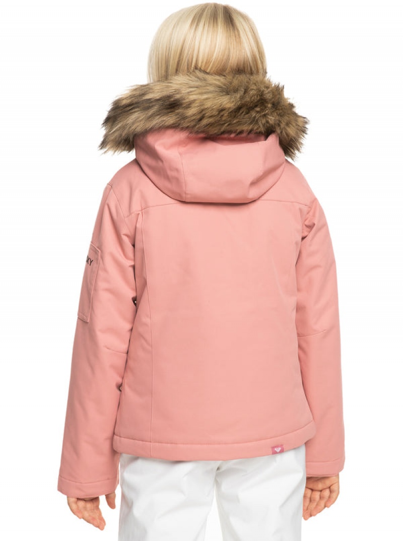 Chaquetas Snowboard Roxy Meade Technical Niña | 069IUKGHF