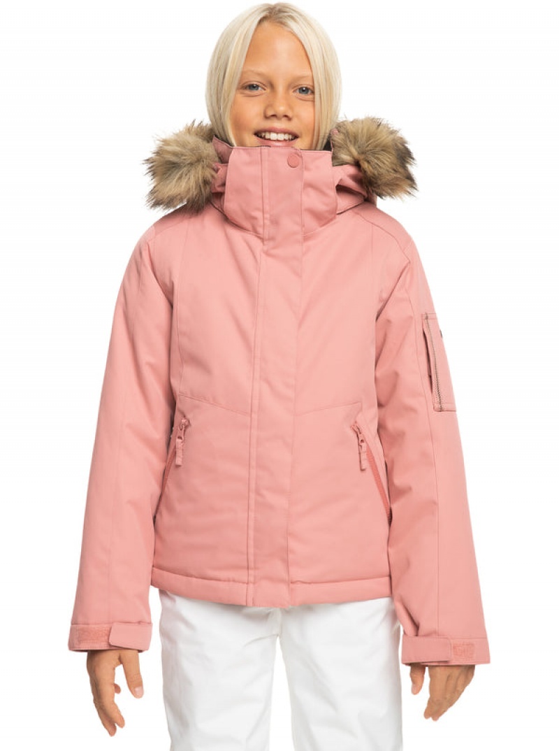 Chaquetas Snowboard Roxy Meade Technical Niña | 069IUKGHF