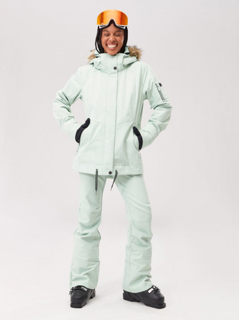 Chaquetas Snowboard Roxy Meade Technical | 156ZHJKVX