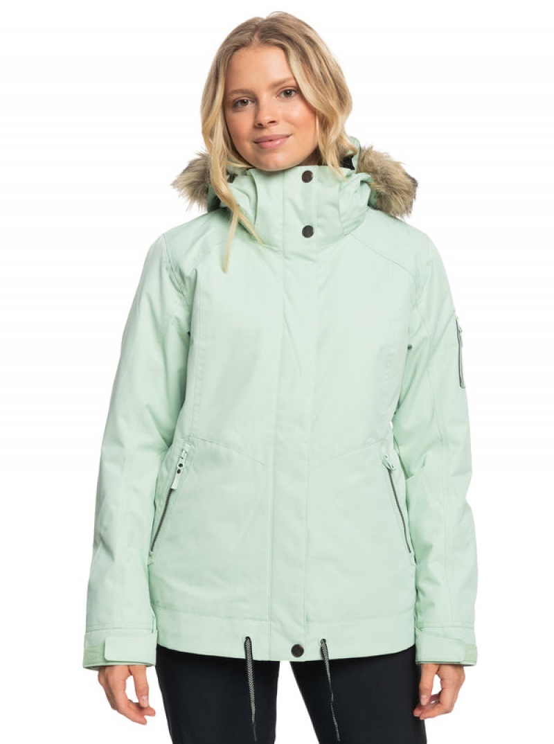 Chaquetas Snowboard Roxy Meade Technical | 156ZHJKVX