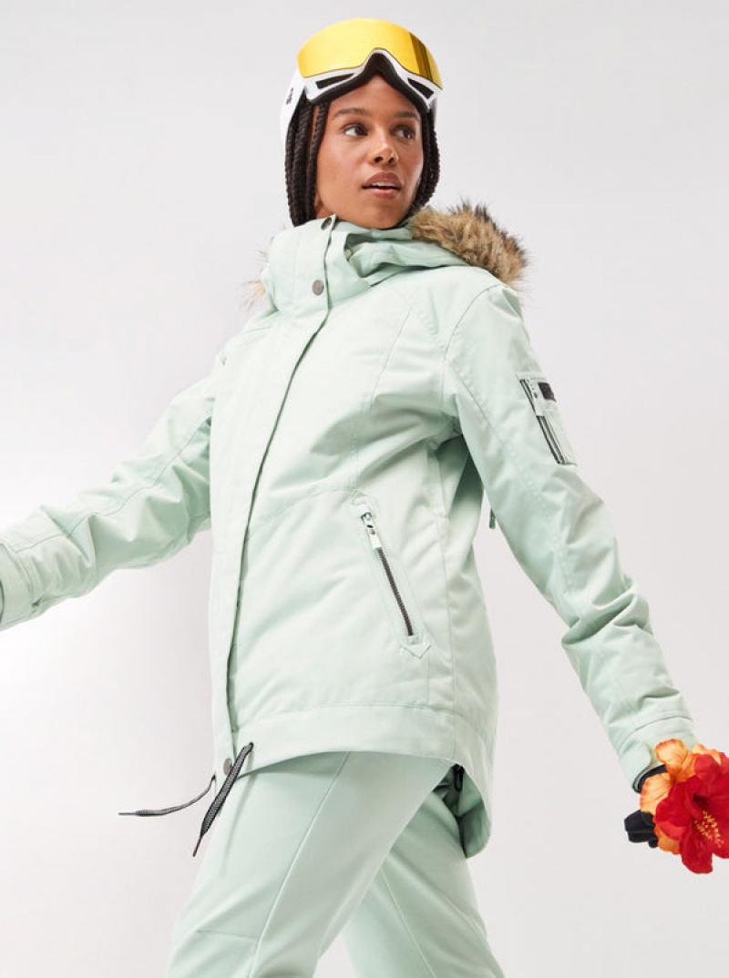 Chaquetas Snowboard Roxy Meade Technical | 156ZHJKVX