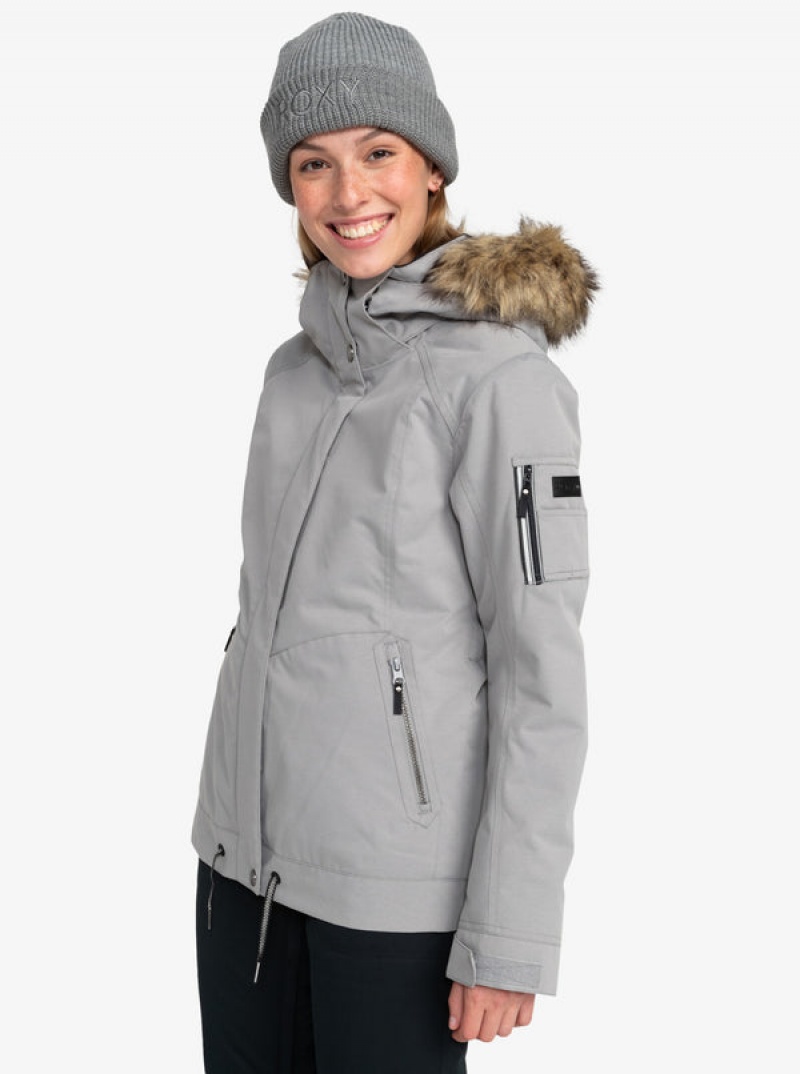 Chaquetas Snowboard Roxy Meade Technical | 948ZMVYGU