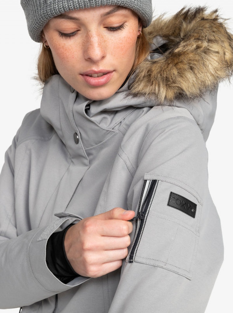 Chaquetas Snowboard Roxy Meade Technical | 948ZMVYGU