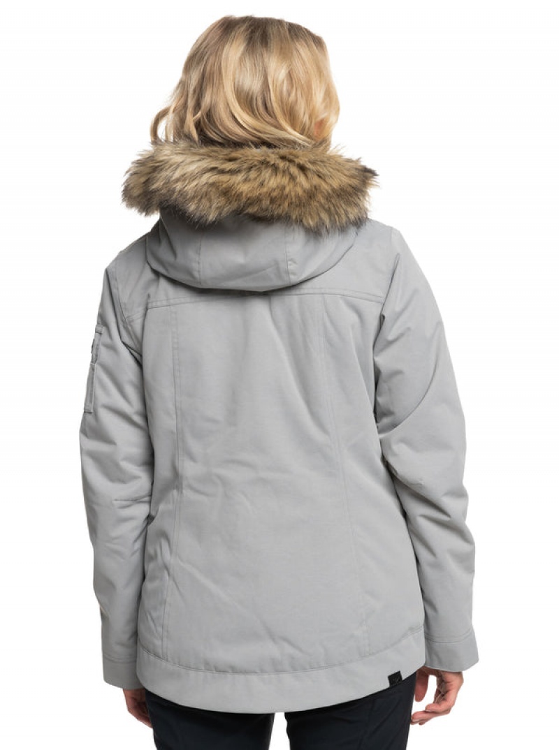 Chaquetas Snowboard Roxy Meade Technical | 948ZMVYGU