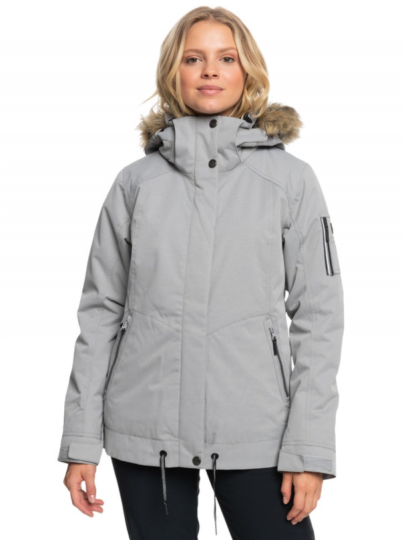 Chaquetas Snowboard Roxy Meade Technical | 948ZMVYGU