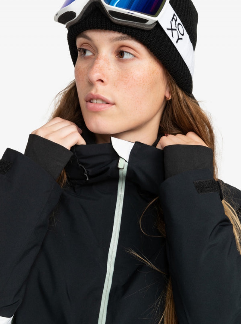 Chaquetas Snowboard Roxy Peakside Technical | 637QSPZJC