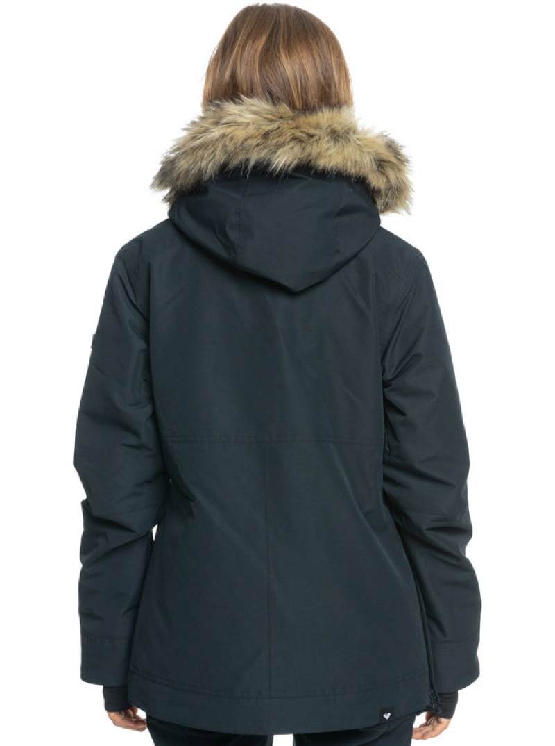 Chaquetas Snowboard Roxy Shelter Technical | 684ENDSZR