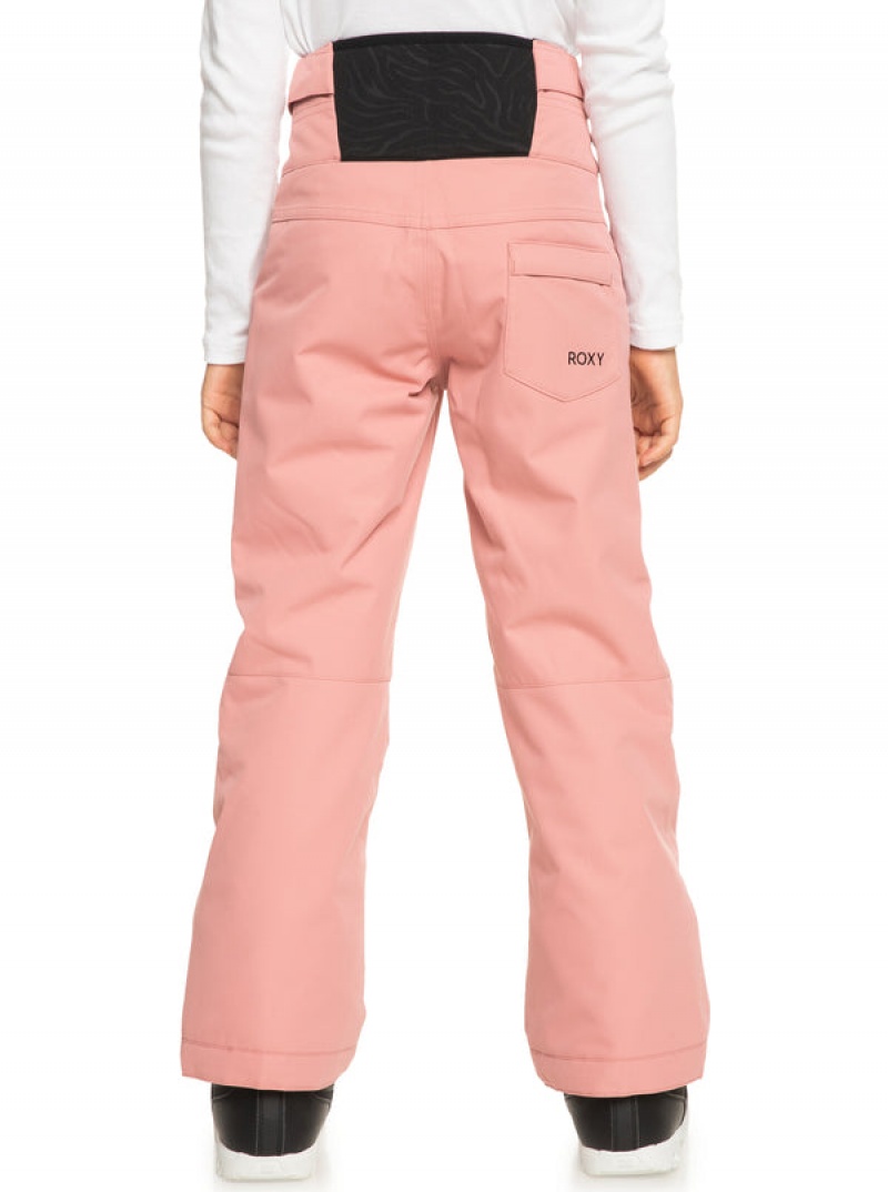 Pantalones Snowboard Roxy Diversion Technical Niña | 438NHGOIK