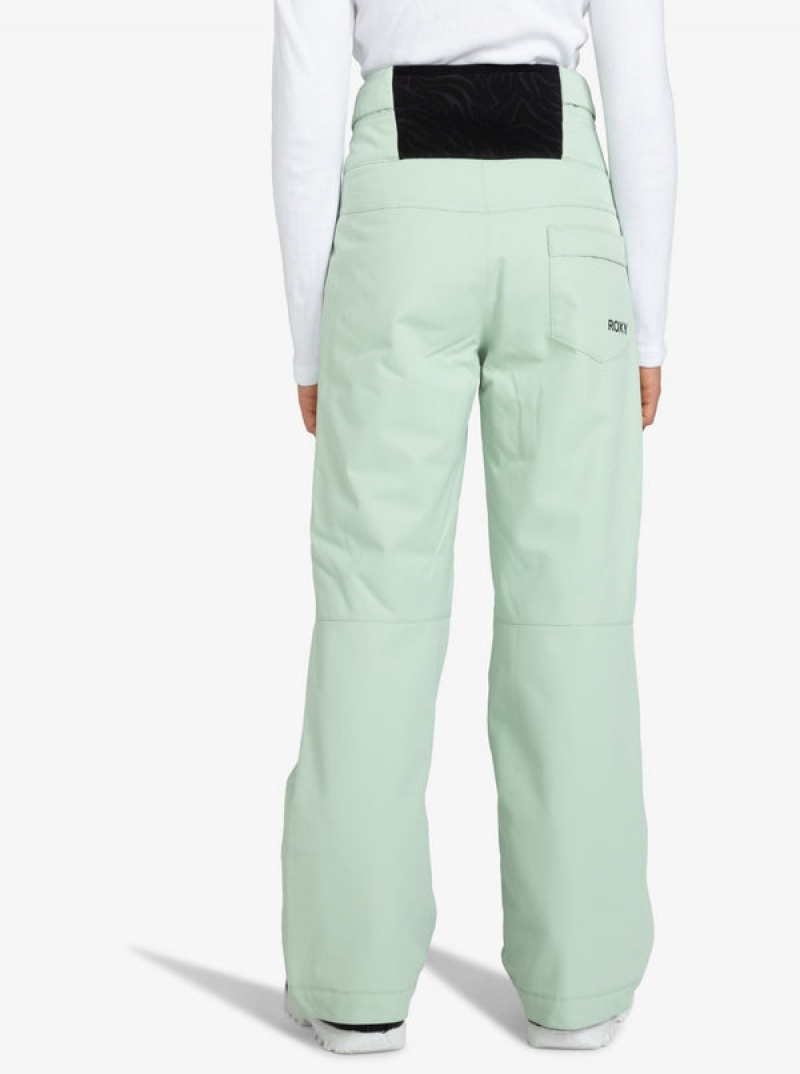 Pantalones Snowboard Roxy Diversion Technical Niña | 173PEAICF