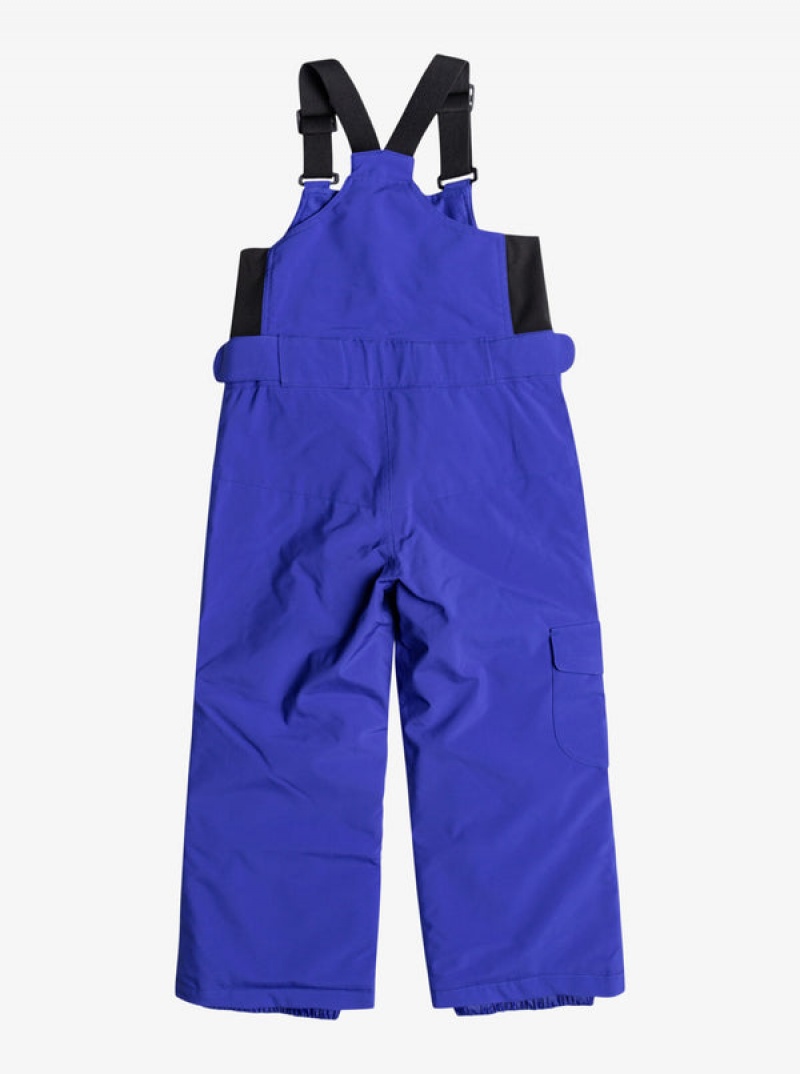 Pantalones Snowboard Roxy Lola Technical Bib Niña | 237VDFCOX