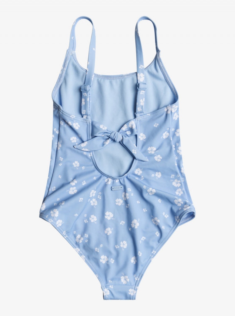 Ropa de Baño Roxy Dreamer One-Piece Niña | 829TCBPIK