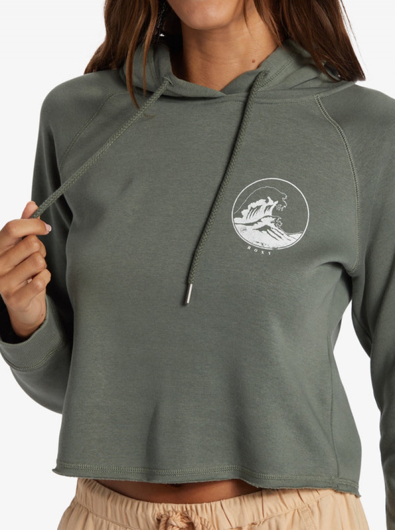 Sudadera con Capucha Roxy We Arrived A Pullover | 028YSUPOI