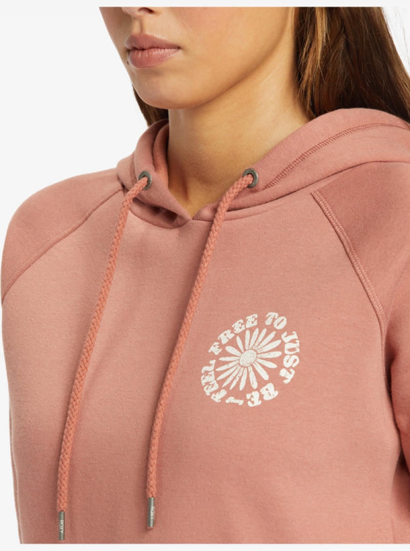 Sudadera con Capucha Roxy We Arrived | 564NLFACZ