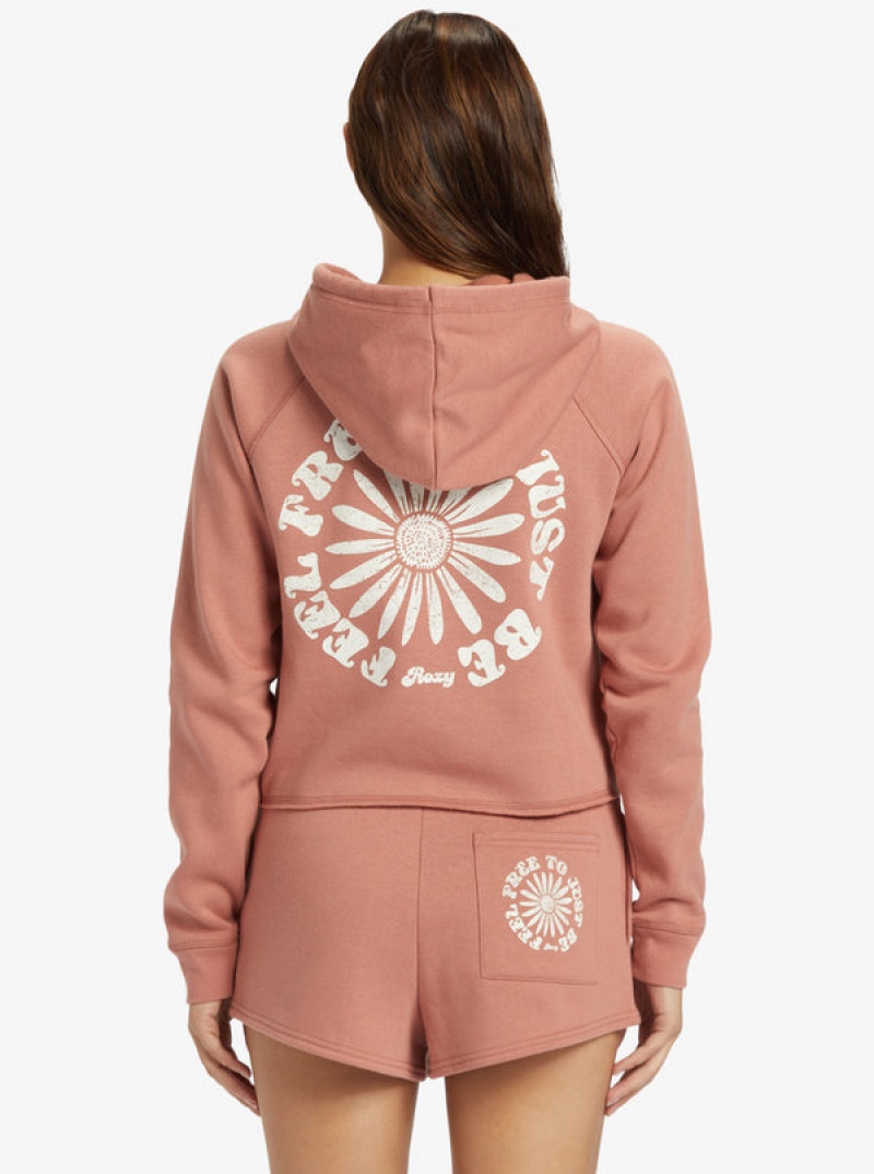 Sudadera con Capucha Roxy We Arrived | 564NLFACZ